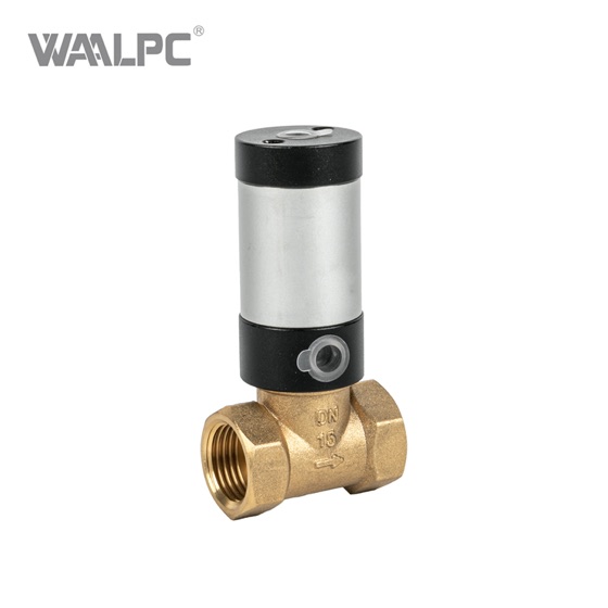 Седельный клапан WAALPC PV100P